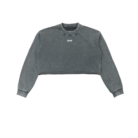 gray A Higher Calling Cropped Sweatshirt front view